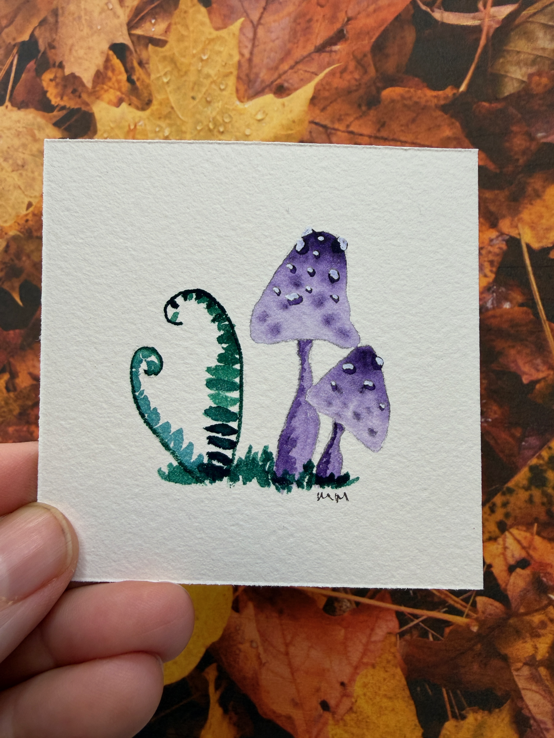 Mini mushrooms III